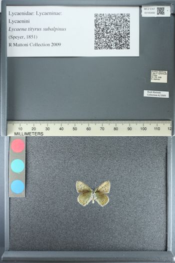Media type: image;   Entomology 183492